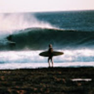 Meet your Posher, Norman